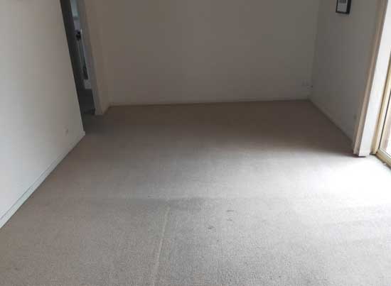 Carpet Steam Cleaning Company In Perth