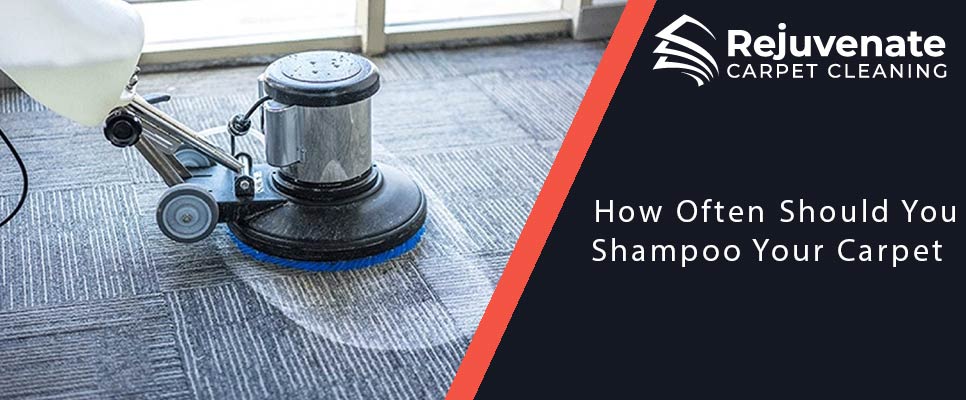 How Often Should You Shampoo Your Carpet
