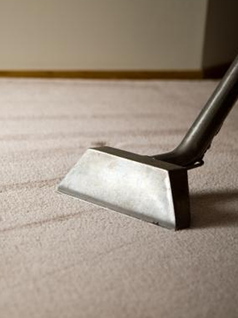 Professional Dry Carpet Cleaning