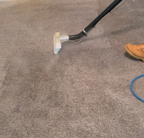 Canberra Carpet and Rug Cleaning