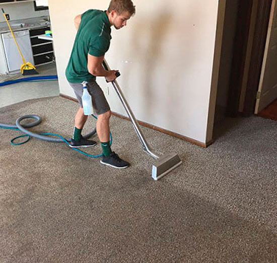 Rejuvenate Carpet Cleaning Services in Canberra