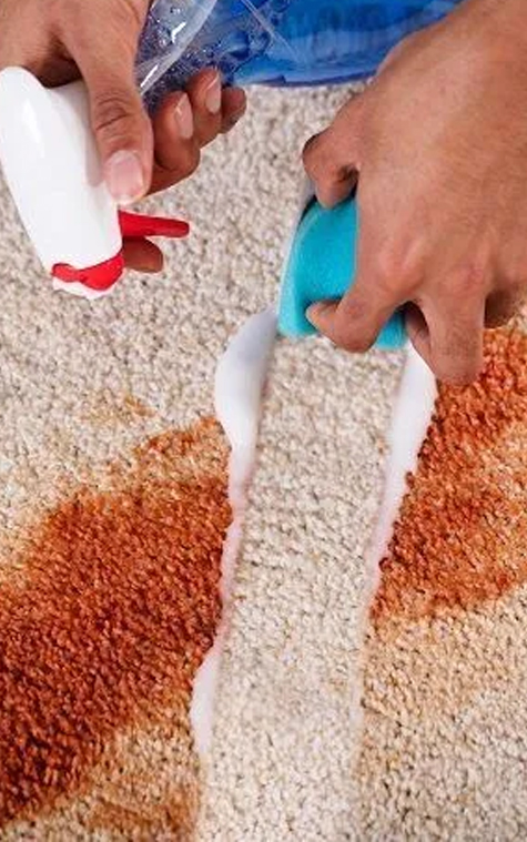 Rejuvenate Carpet Stain Removal Service in Australia